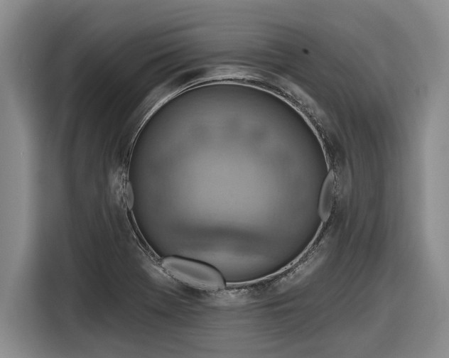 X0000116301369200912071240