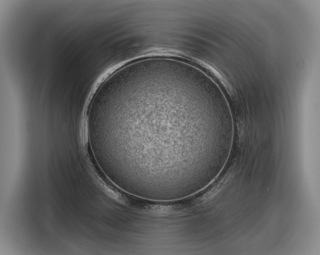 X0000116301371200912071240