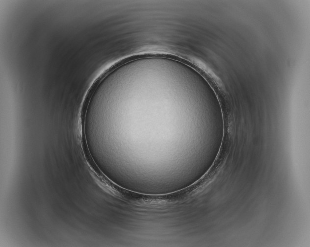 X0000116301372200912071240