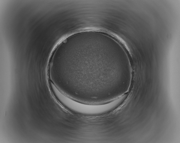 X0000116301373200912071240