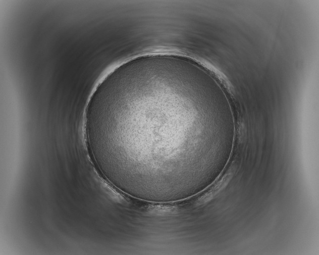 X0000116301374200912071240