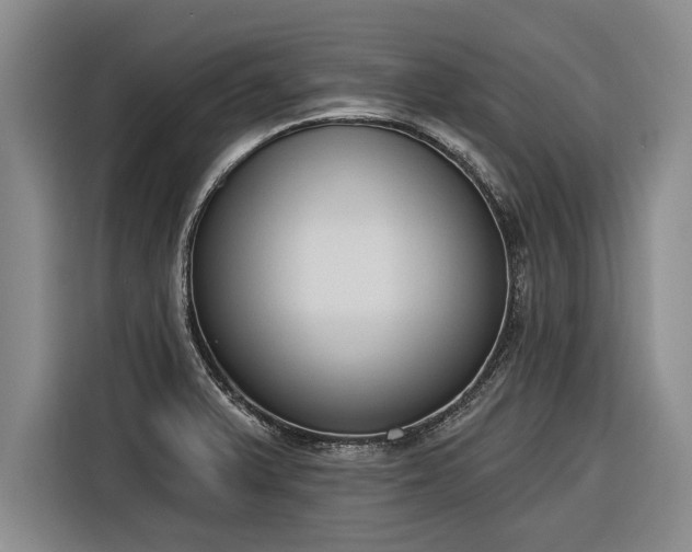 X0000116301375200912071240