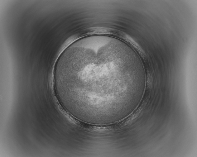 X0000116301378200912071240