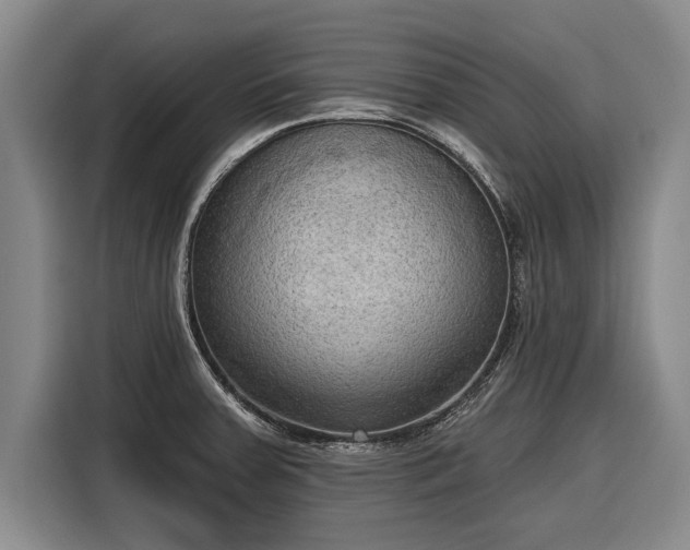 X0000116301379200912071240