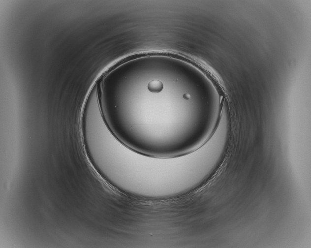 X0000116301380200912071240