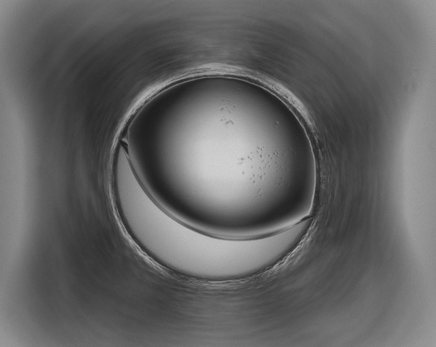 X0000116301381200912071240