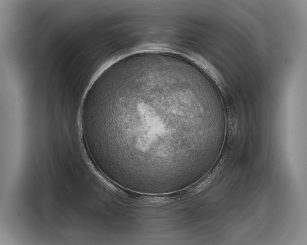 X0000116301382200912071240