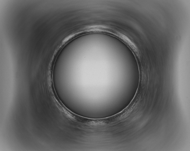 X0000116301384200912071240