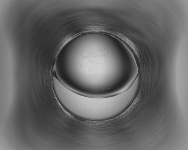 X0000116301385200912071240