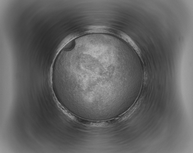 X0000116301386200912071240