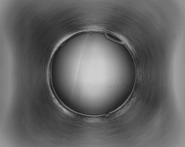 X0000116301387200912071240