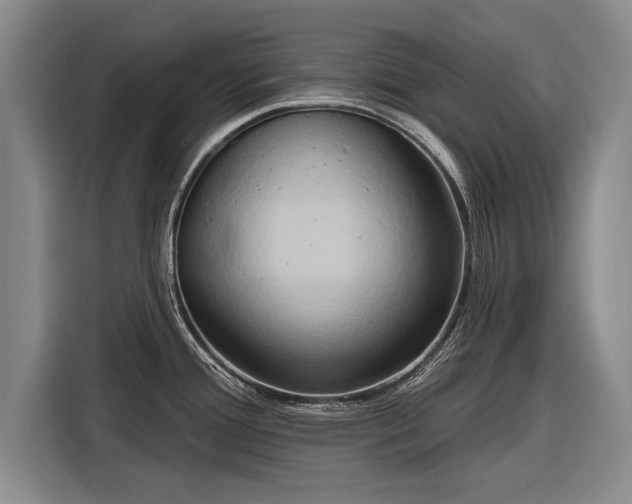 X0000116301388200912071240