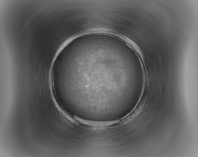 X0000116301389200912071240