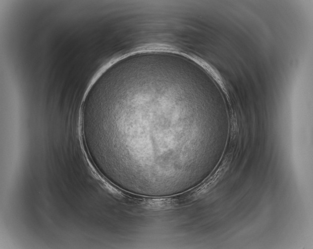 X0000116301390200912071240