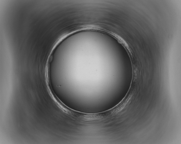 X0000116301391200912071239