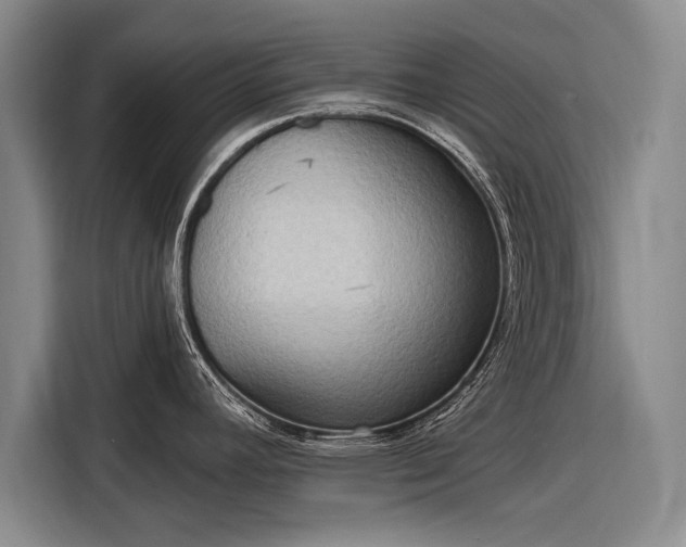 X0000116301392200912071239