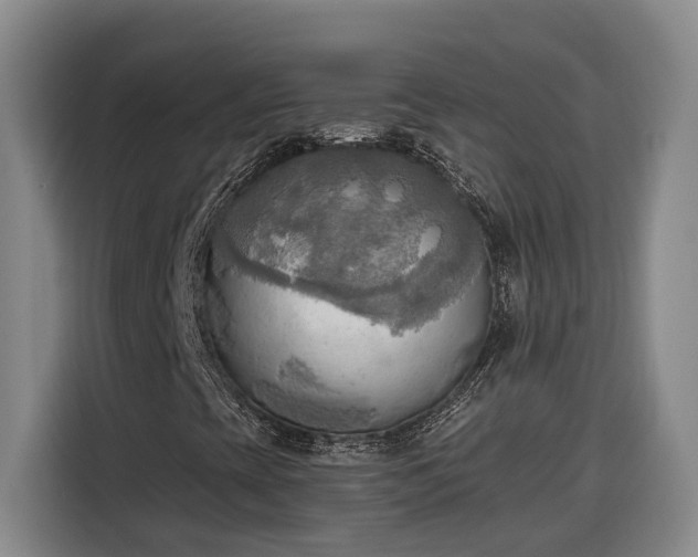 X0000116301393200912071239