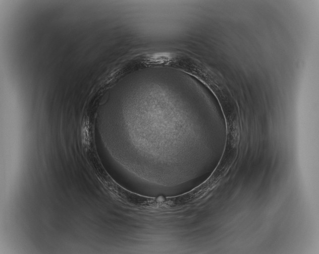 X0000116301394200912071239