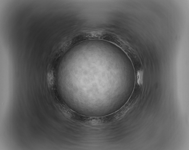 X0000116301395200912071239