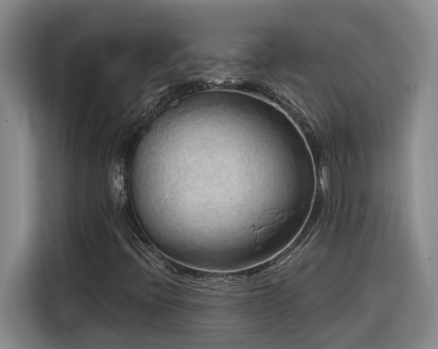 X0000116301396200912071239