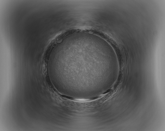 X0000116301398200912071239