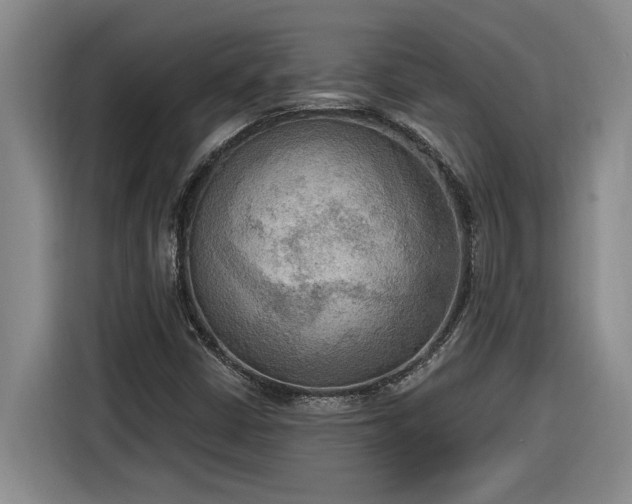 X0000116301402200912071239