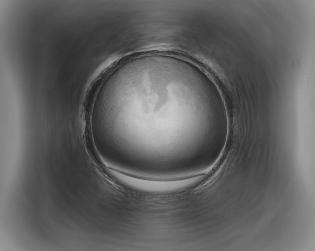 X0000116301406200912071239