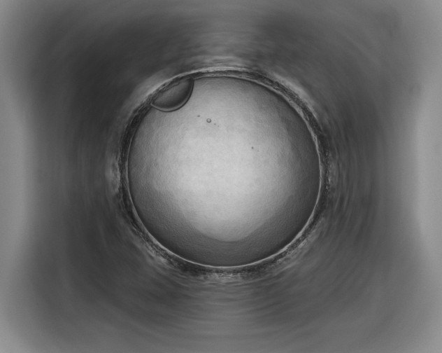 X0000116301407200912071239