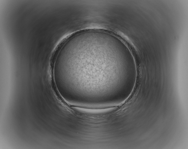 X0000116301408200912071239