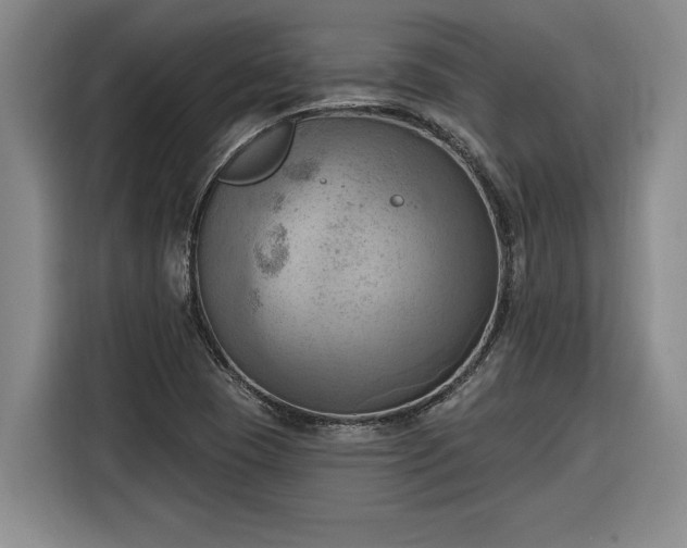 X0000116301409200912071239