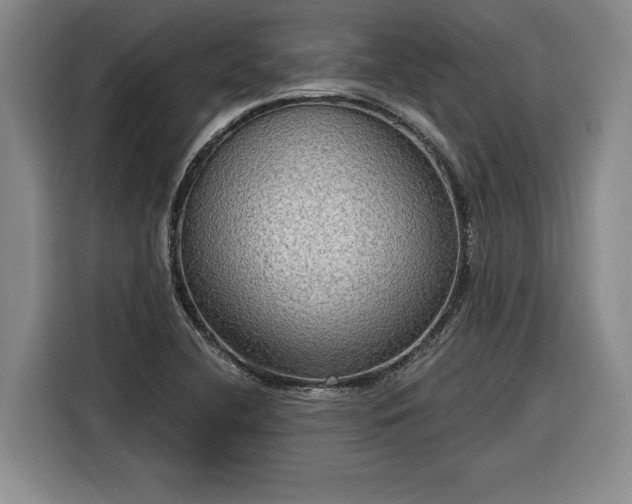 X0000116301412200912071239