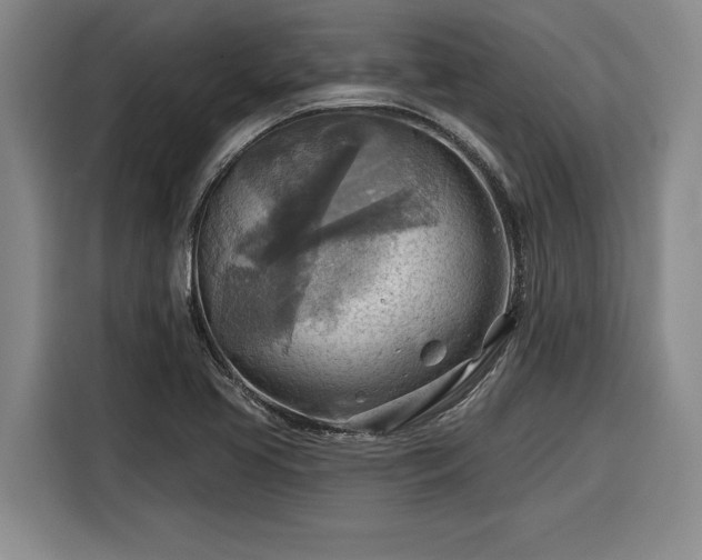 X0000116301413200912071239