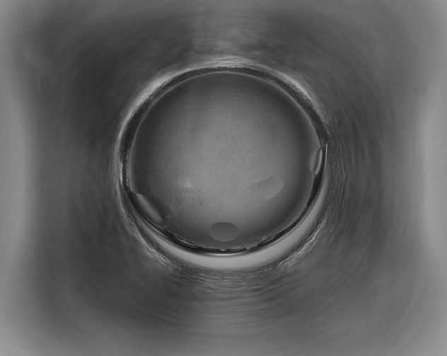 X0000116301414200912071239