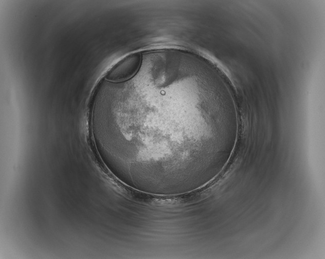 X0000116301415200912071239