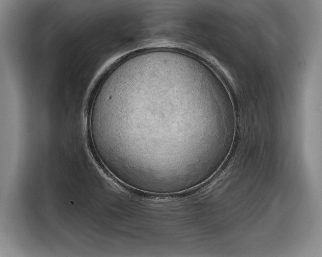 X0000116301416200912071239