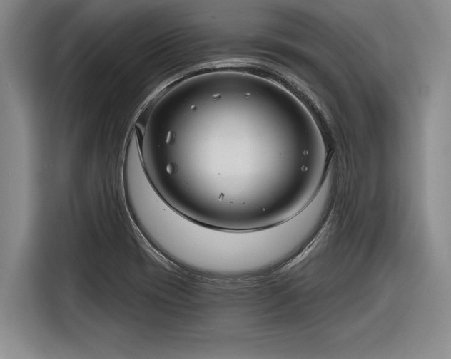 X0000116301417200912071239