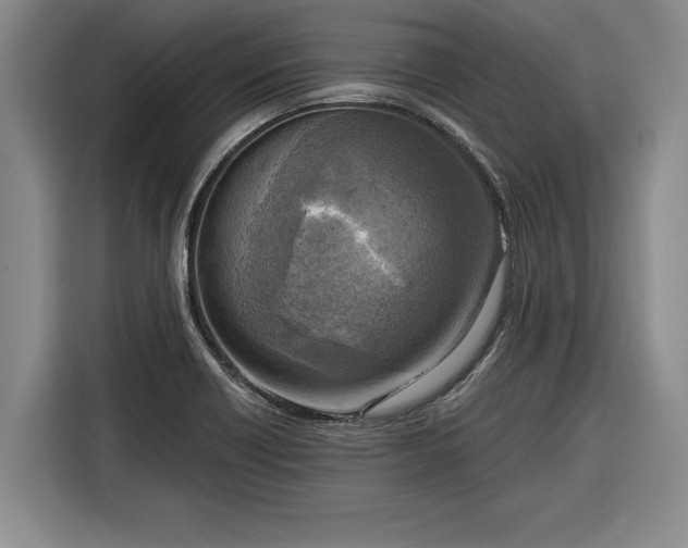 X0000116301418200912071239