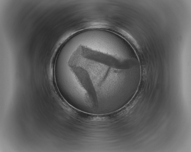 X0000116301419200912071239