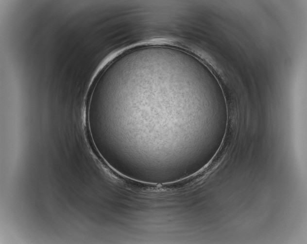 X0000116301420200912071239