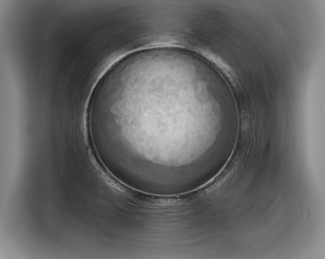 X0000116301423200912071239