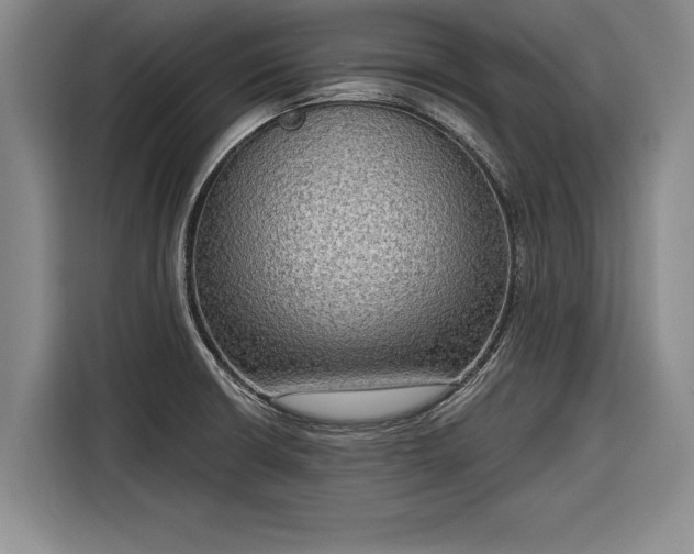 X0000116301426200912071239