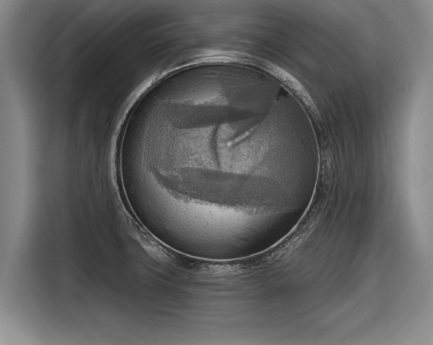 X0000116301427200912071239