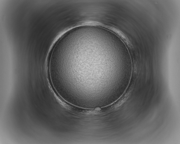 X0000116301430200912071239