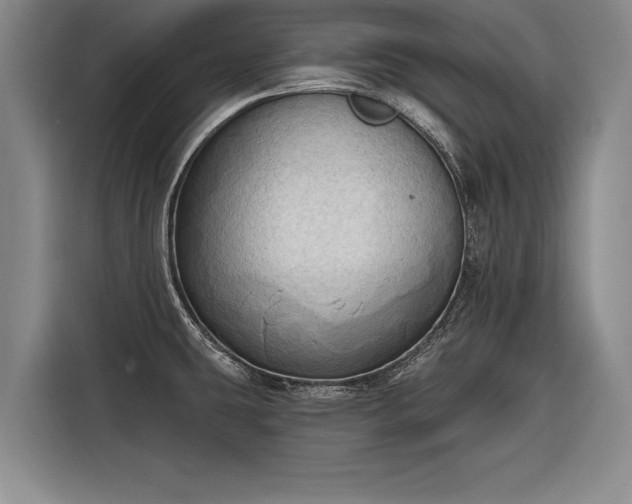 X0000116301431200912071239