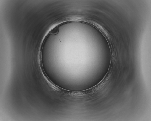 X0000116301432200912071239