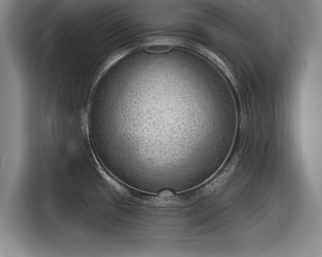 X0000116301433200912071239