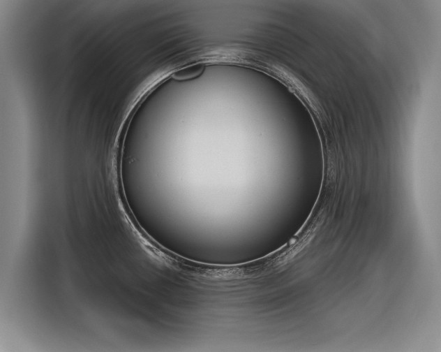 X0000116301434200912071239