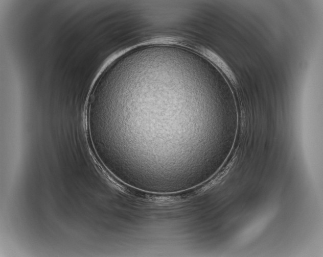 X0000116301436200912071239