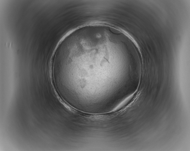 X0000116301437200912071239