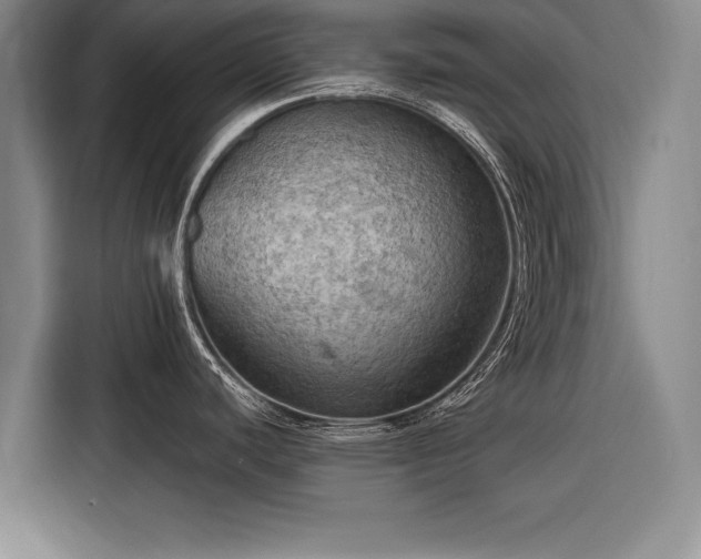 X0000116301440200912071239